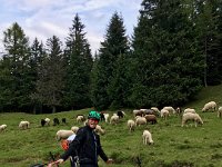 2017 09 LSL Trentino-Tour (100)