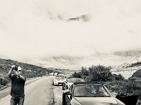 IMG 3527