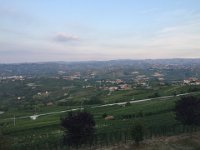 image00029