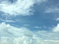 20180609 Schwarzwald (43c)