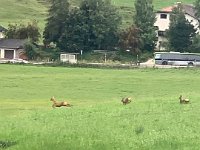 2020 LSL-Suedtirol Tour 35