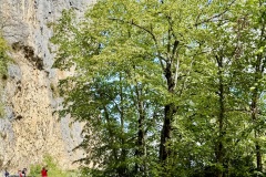 202509_LSL-September-Tour-30h